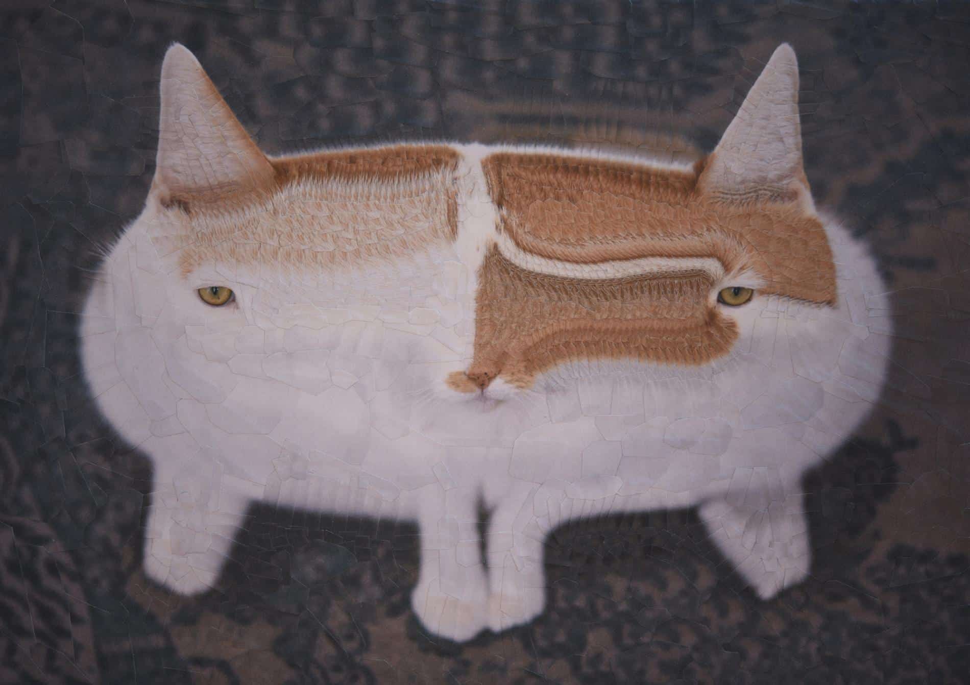 lola dupre gato dobñecollage 2