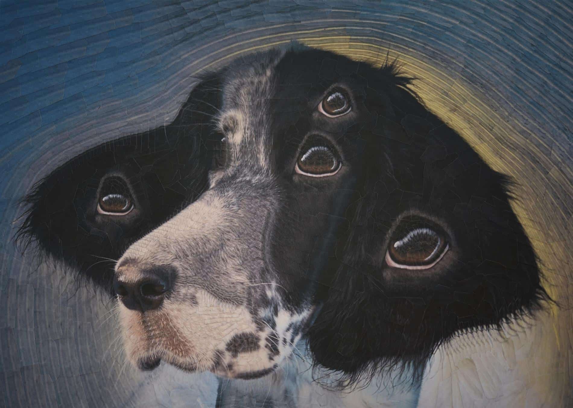 lola dupre perro collage 2