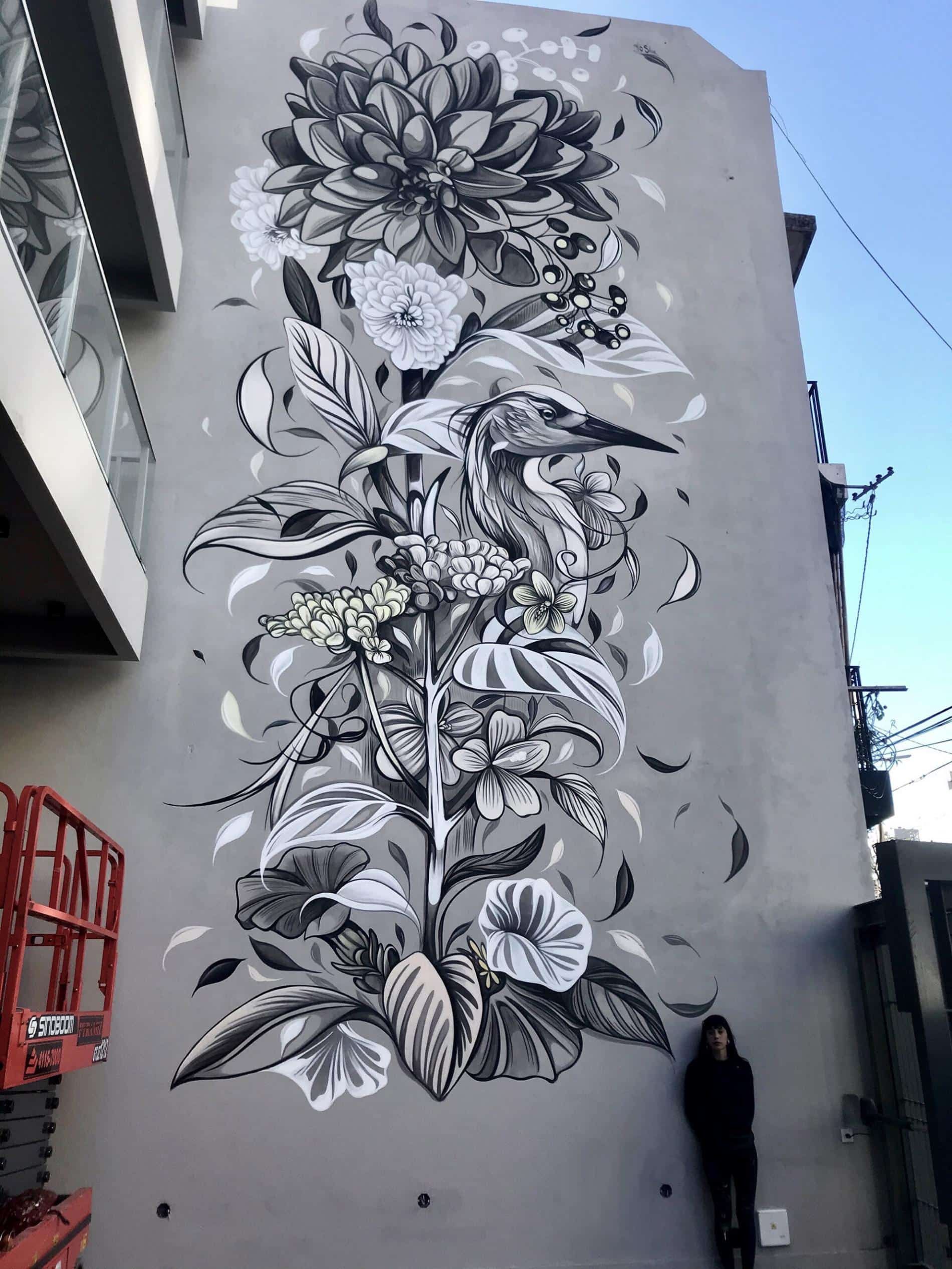pajaron murales fio silva