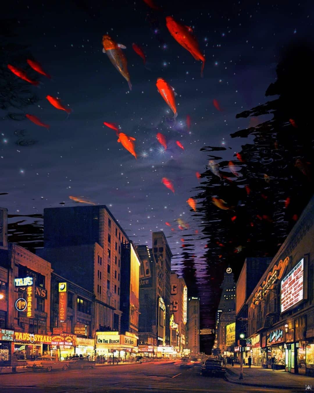 collage irie wata fish