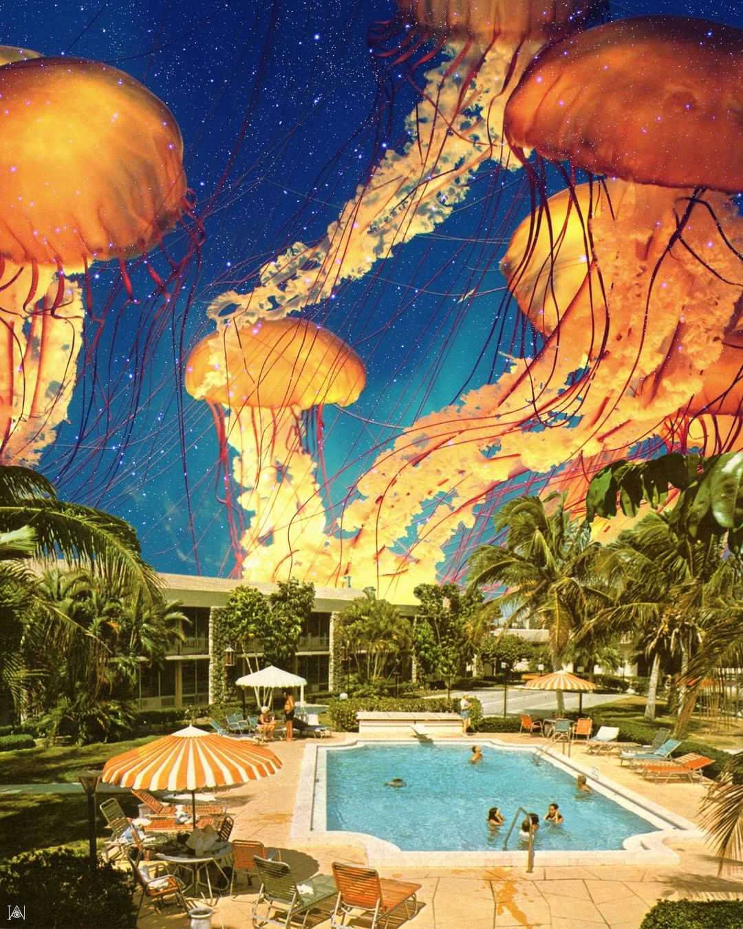 collage irie wata medusas