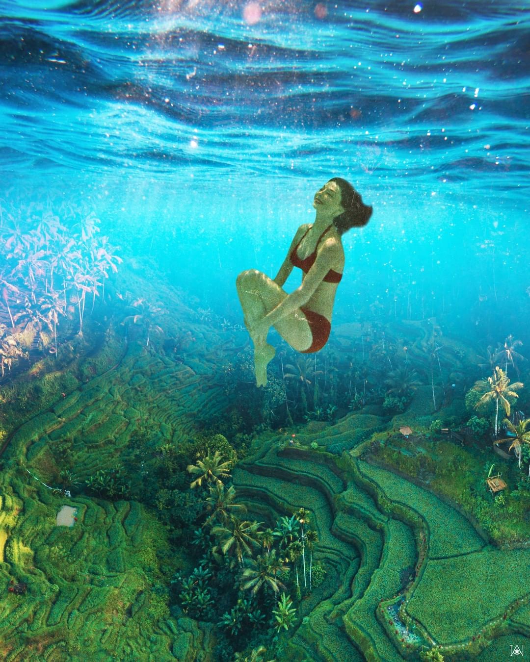 collage irie wata tay