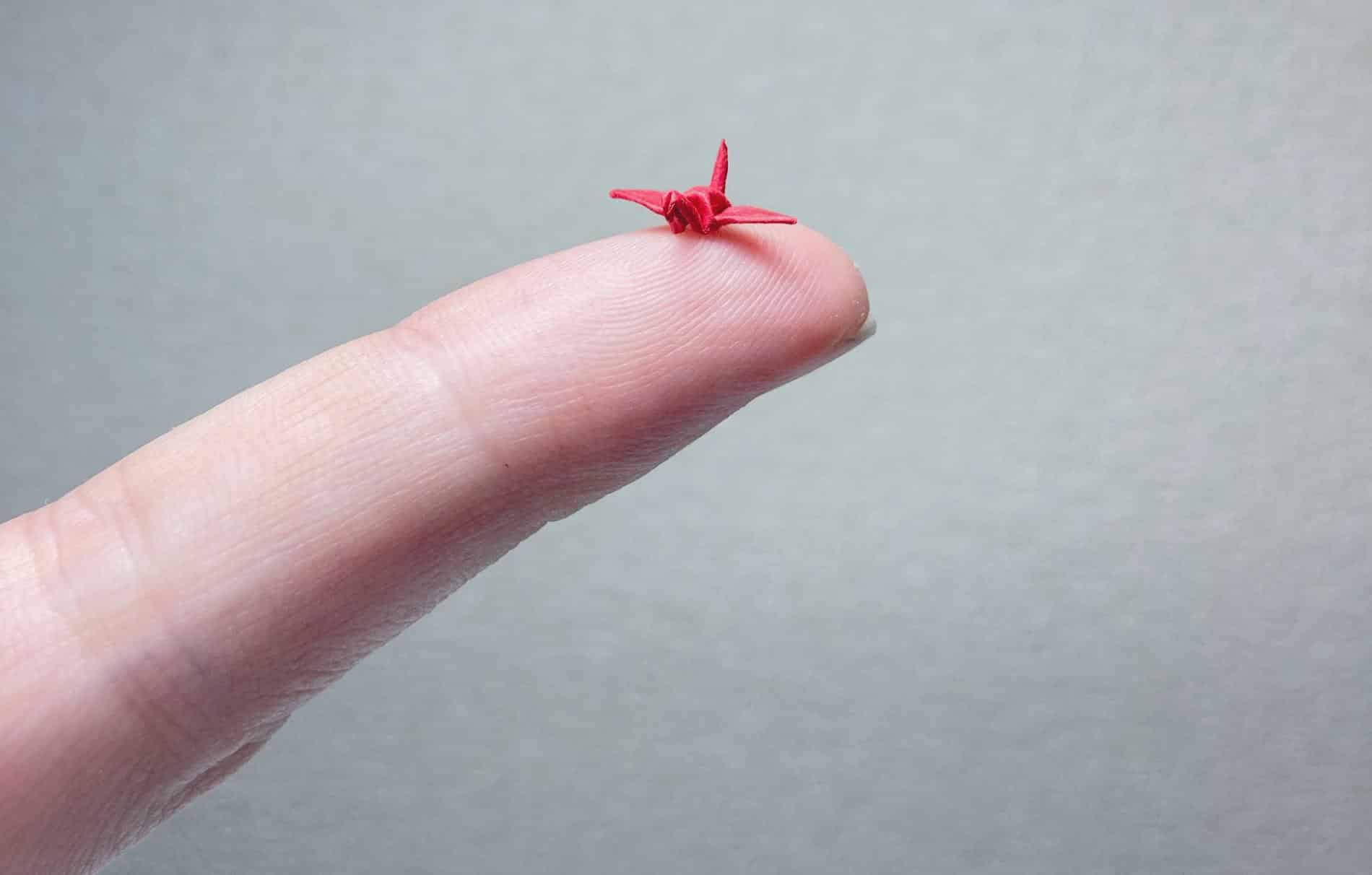 grullas mini origamo naoki onogawa mini