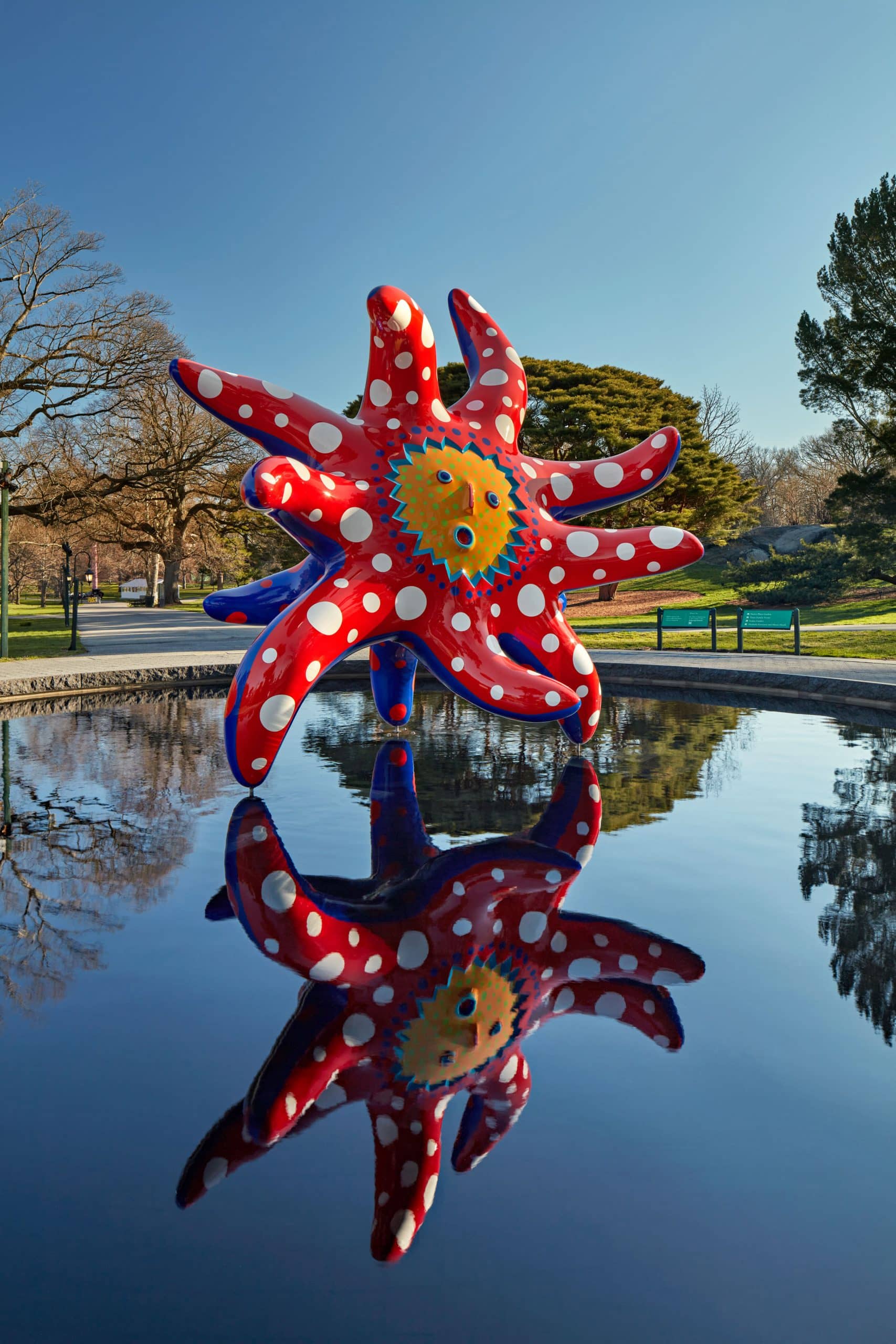 yayoi kasuma cosmic nature