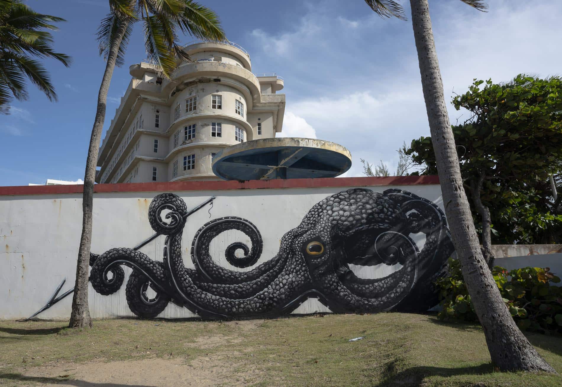 ROA PULPO PUERTO RICO