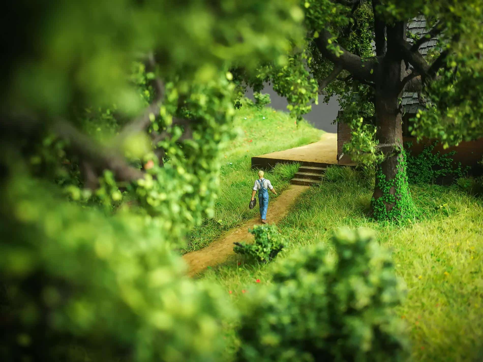 Stefanov skyvile green