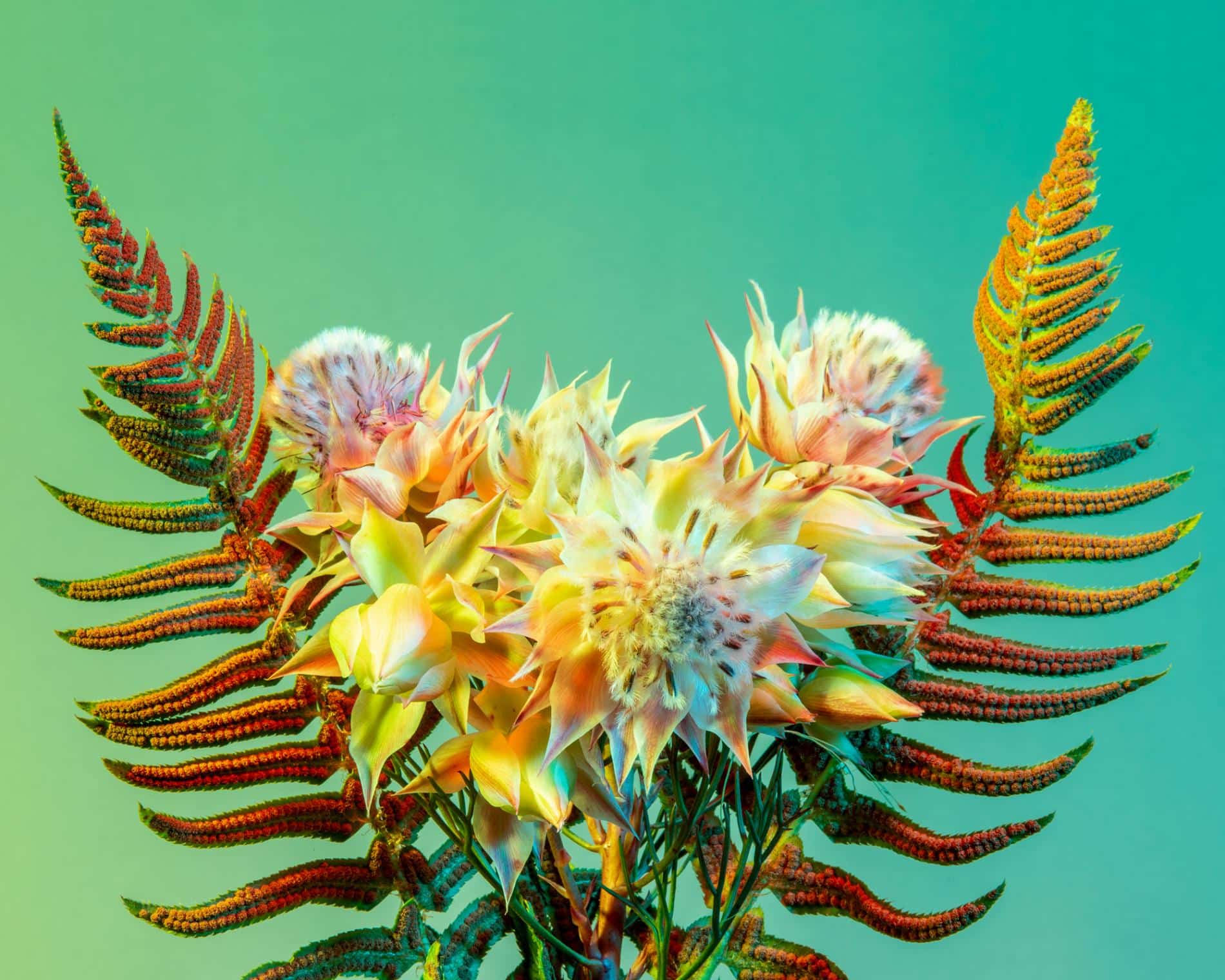 rickert flores botanica de otro mundo bouqeuete
