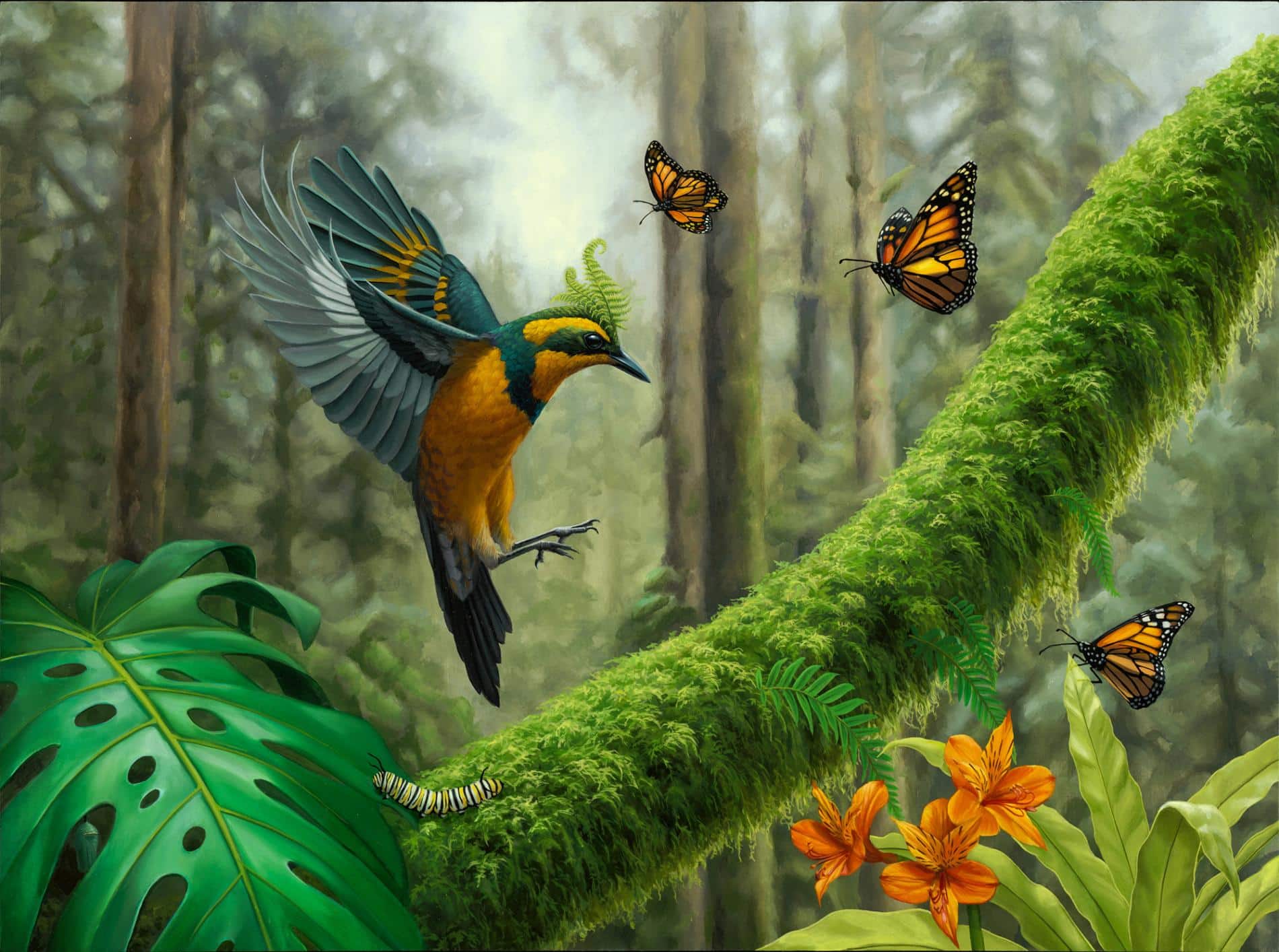 3. ching colibri