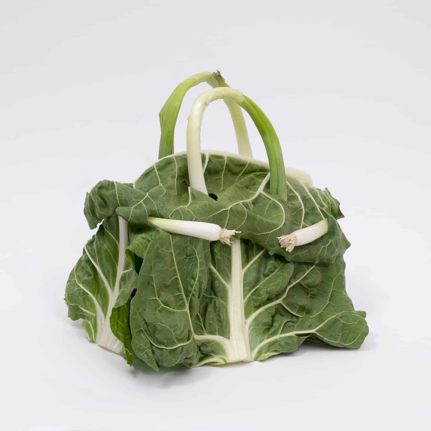 bolso hermes ben denzer hecho con coles