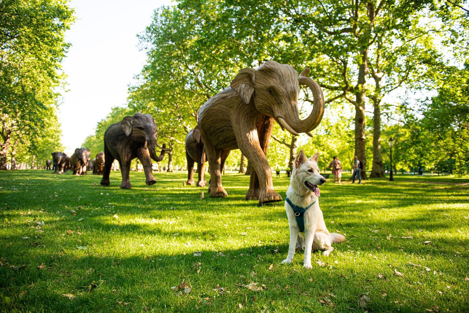elephant escultura manada medio proyecto urbano