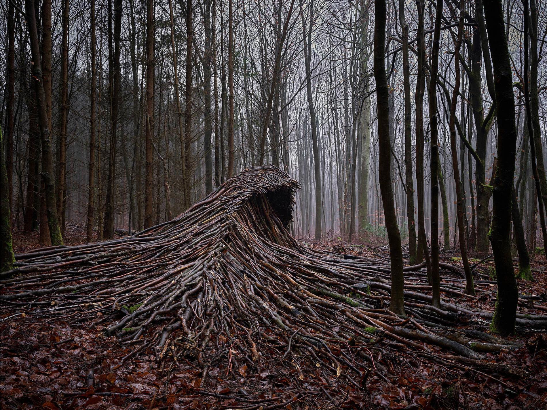 olas de madera fotografia Jörg Gläscher mitad