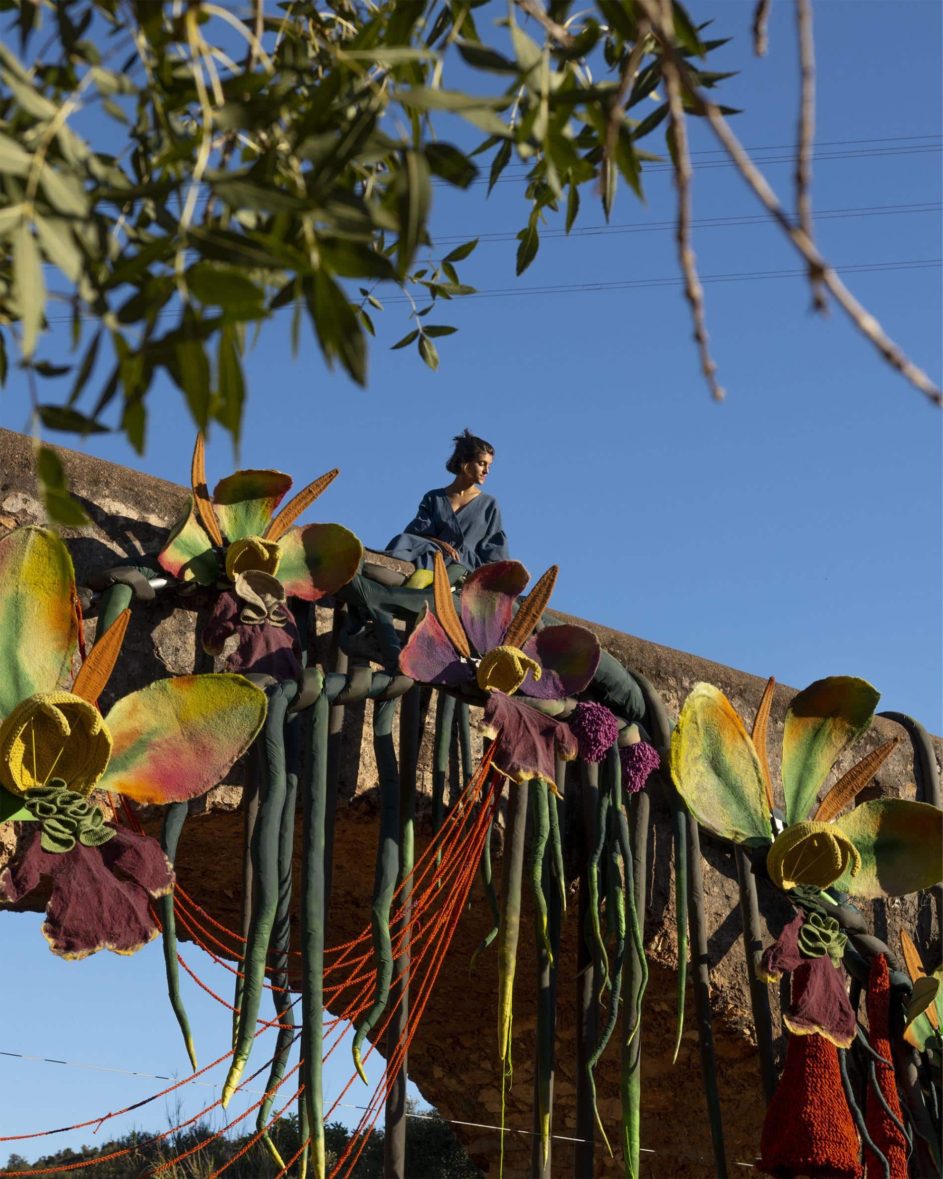 barragao instalacion orquideas 2