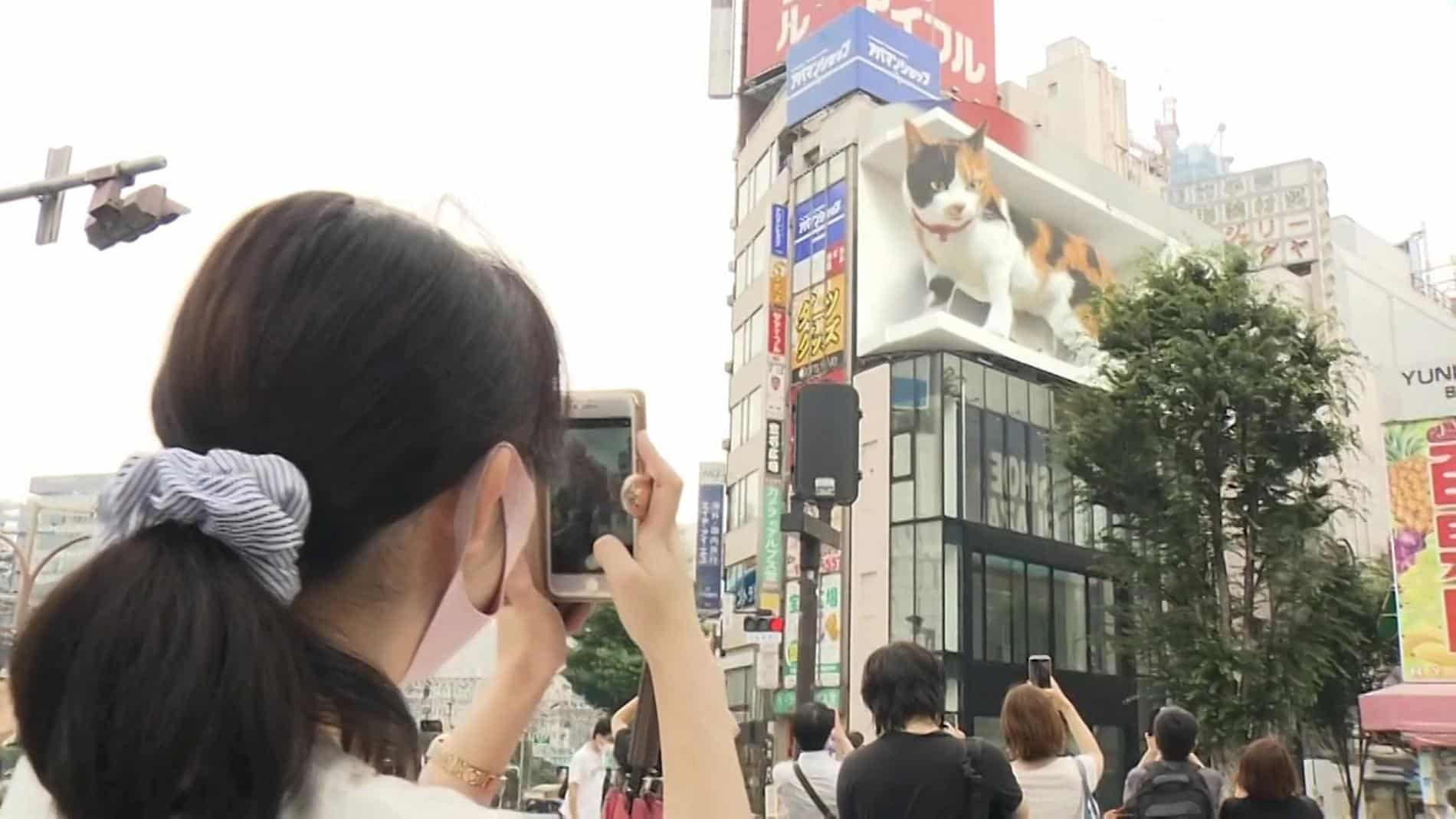 cross shinjuku viison gato fan