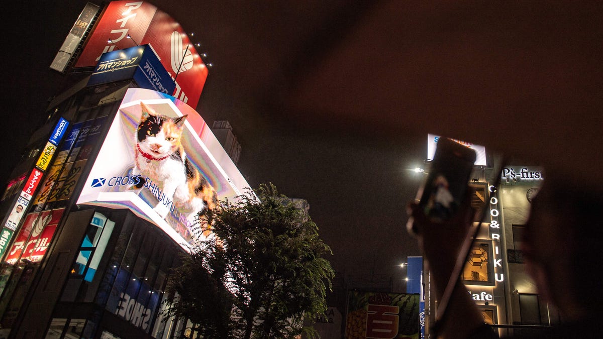 cross shinjuku viison gato night
