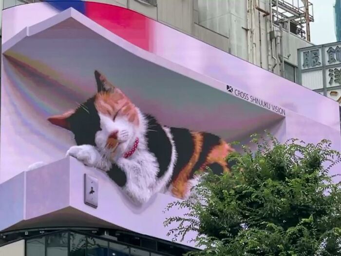 cross shinjuku viison gato sleep