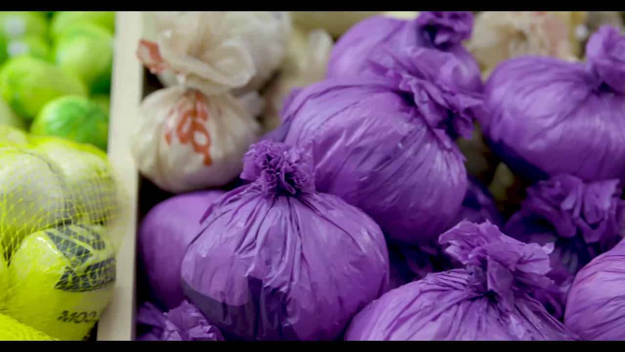 frohardt the plastic bag shop veggie