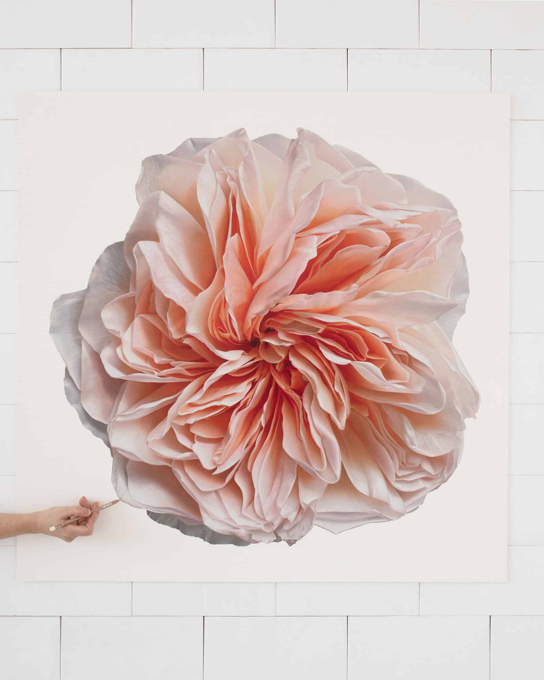 hendry flor bloom detalle peach rose d