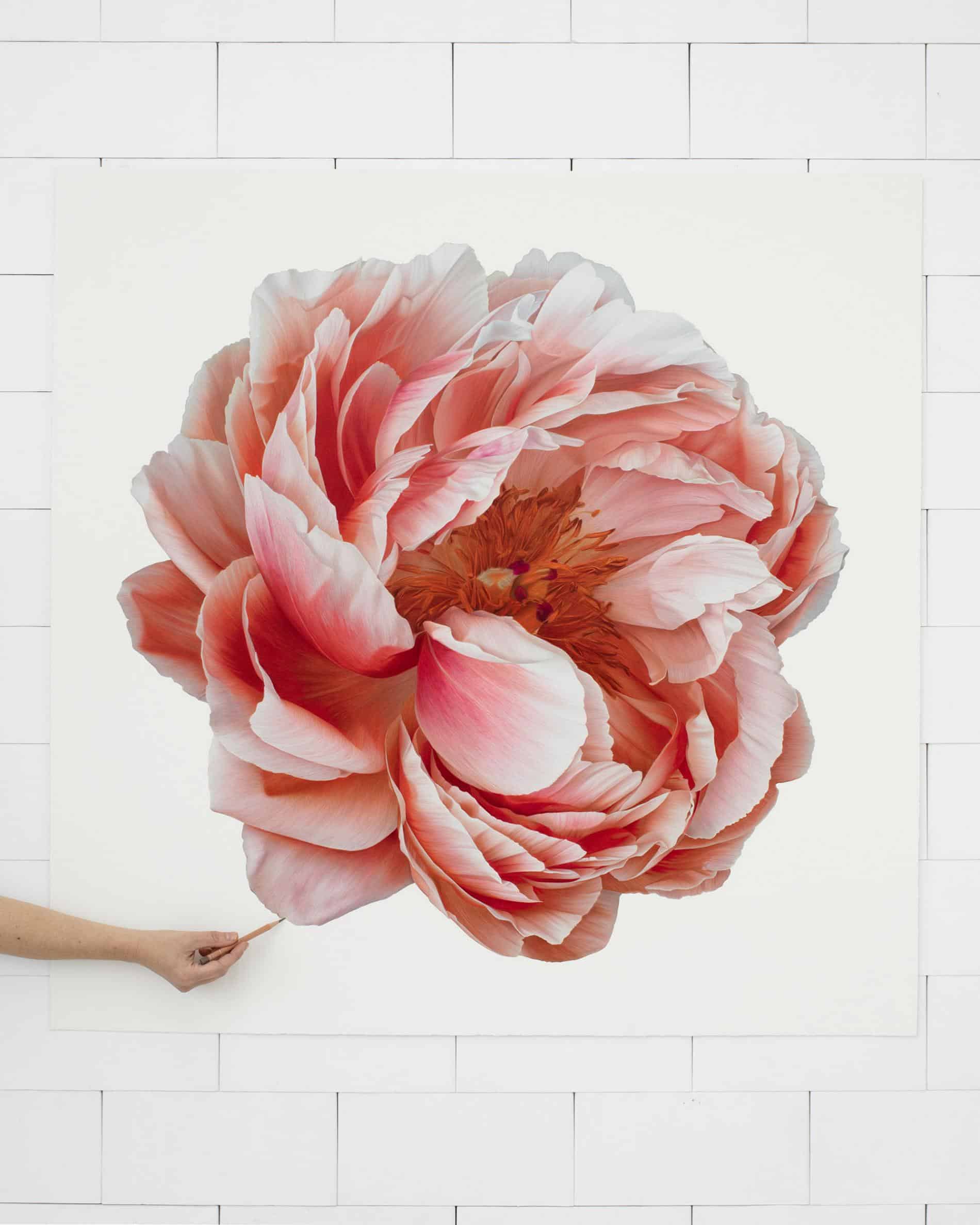 hendry flor bloom