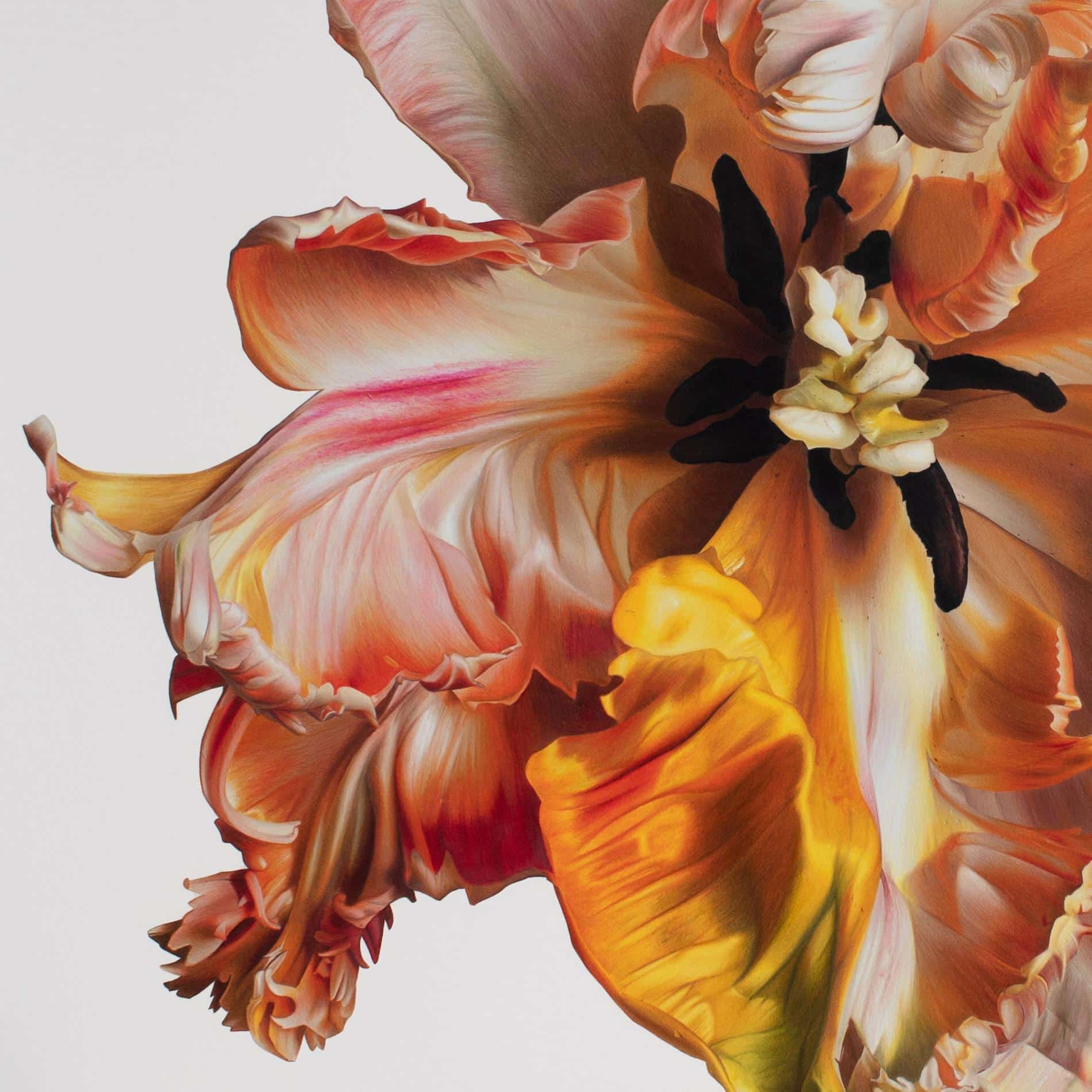 hendry flor detalle
