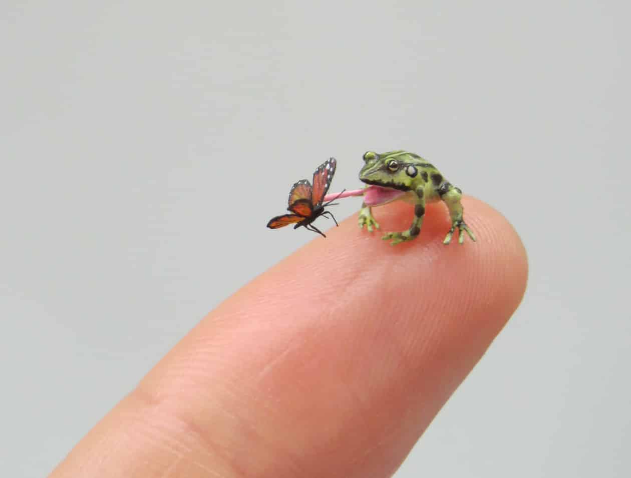 miniaturas fanni sandor rana