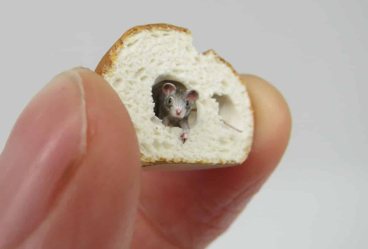 miniaturas fanni sandor raton pan