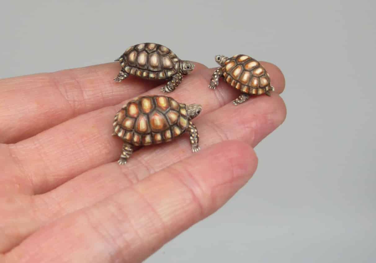 miniaturas fanni sandor tortuga
