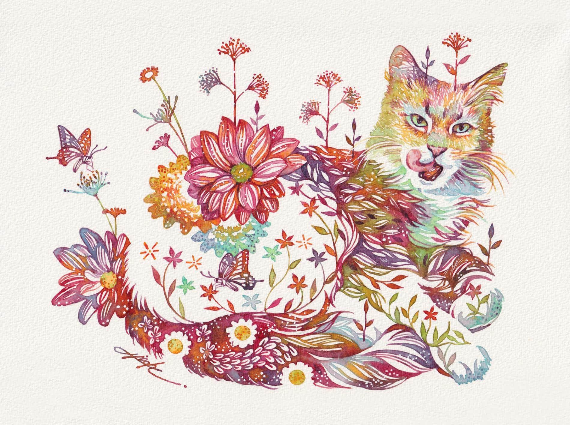 takeda gato floral 4