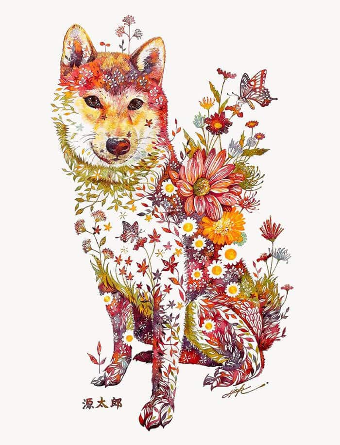 takeda perro floral