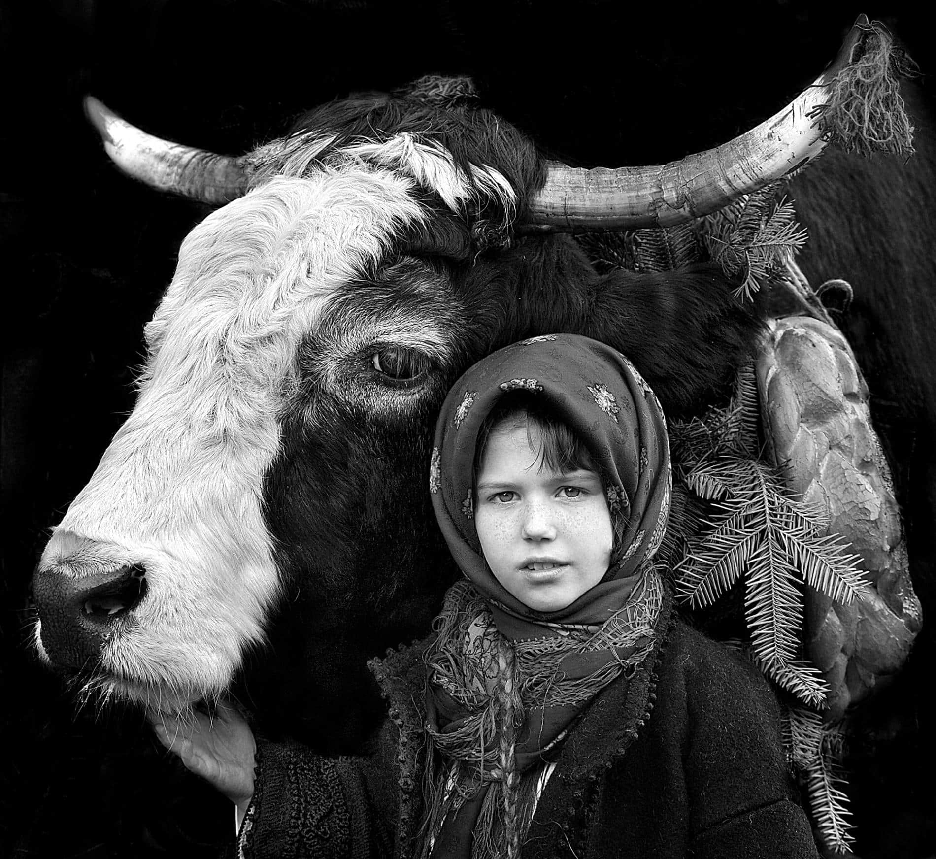 transylvania retratos istvan kerek