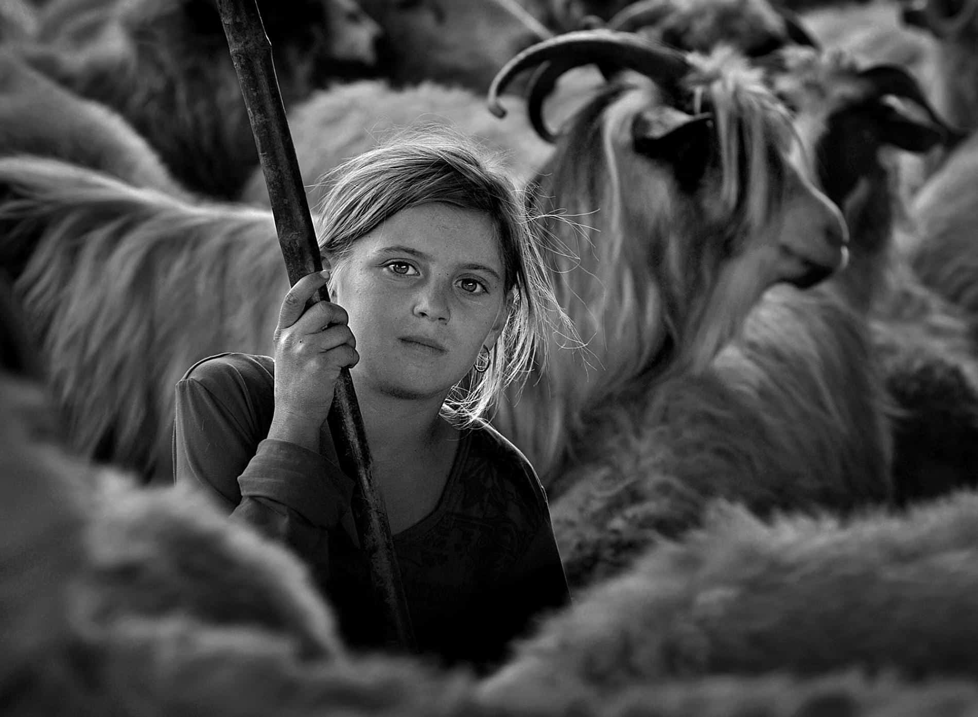 transylvania retratos istvan kerekes grl
