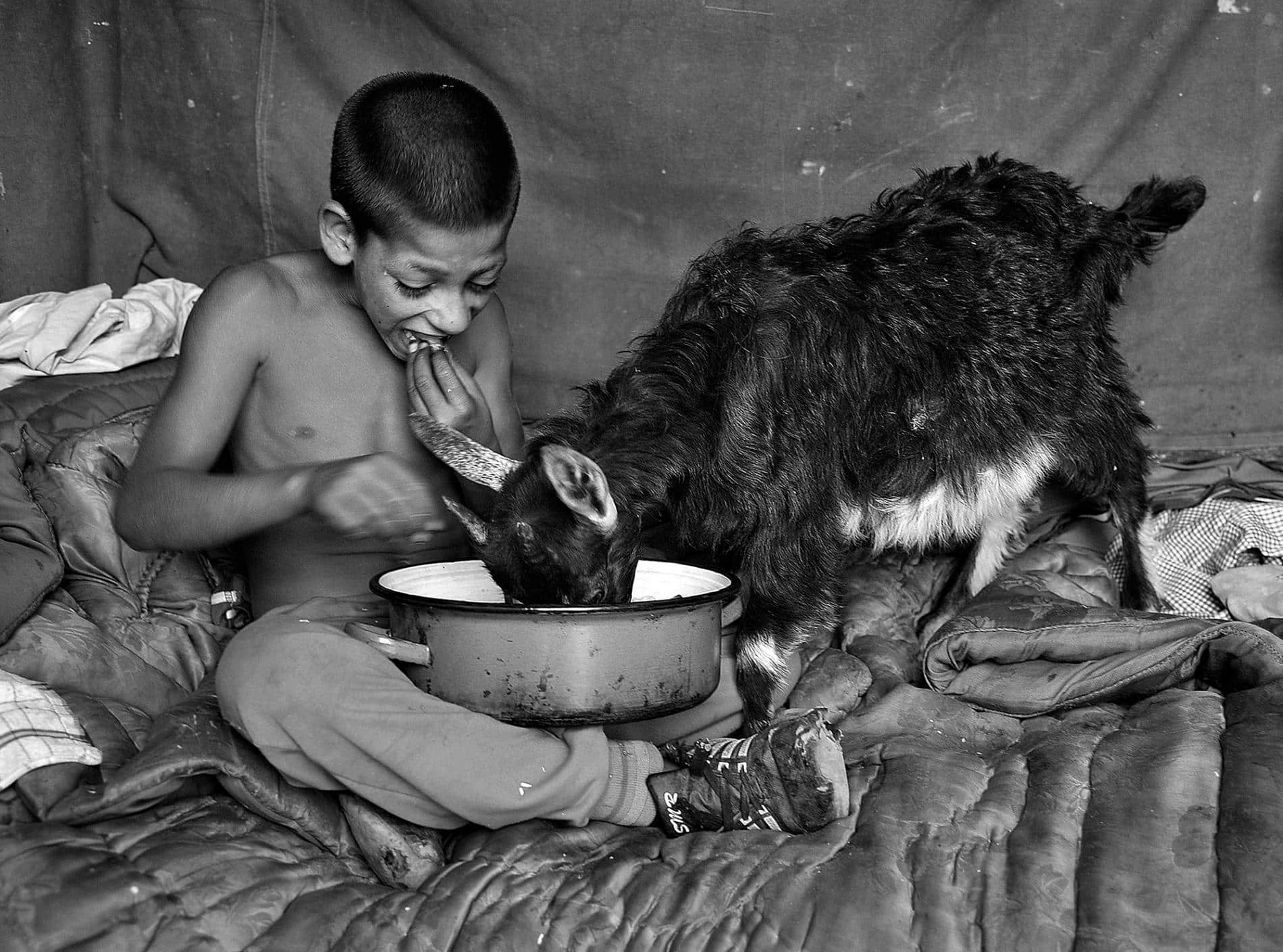transylvania retratos istvan kerekes share