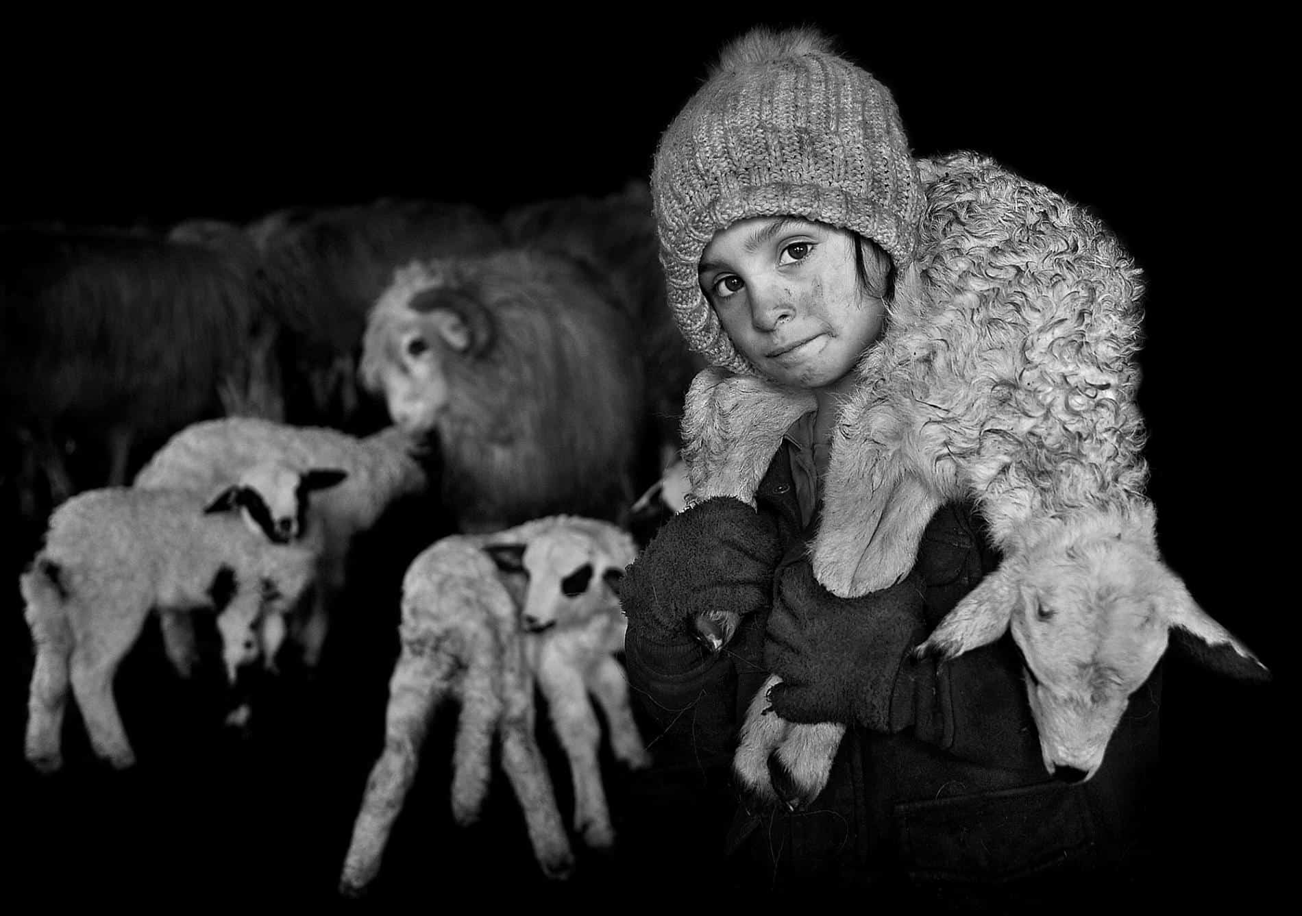 transylvania retratos istvan kerekes