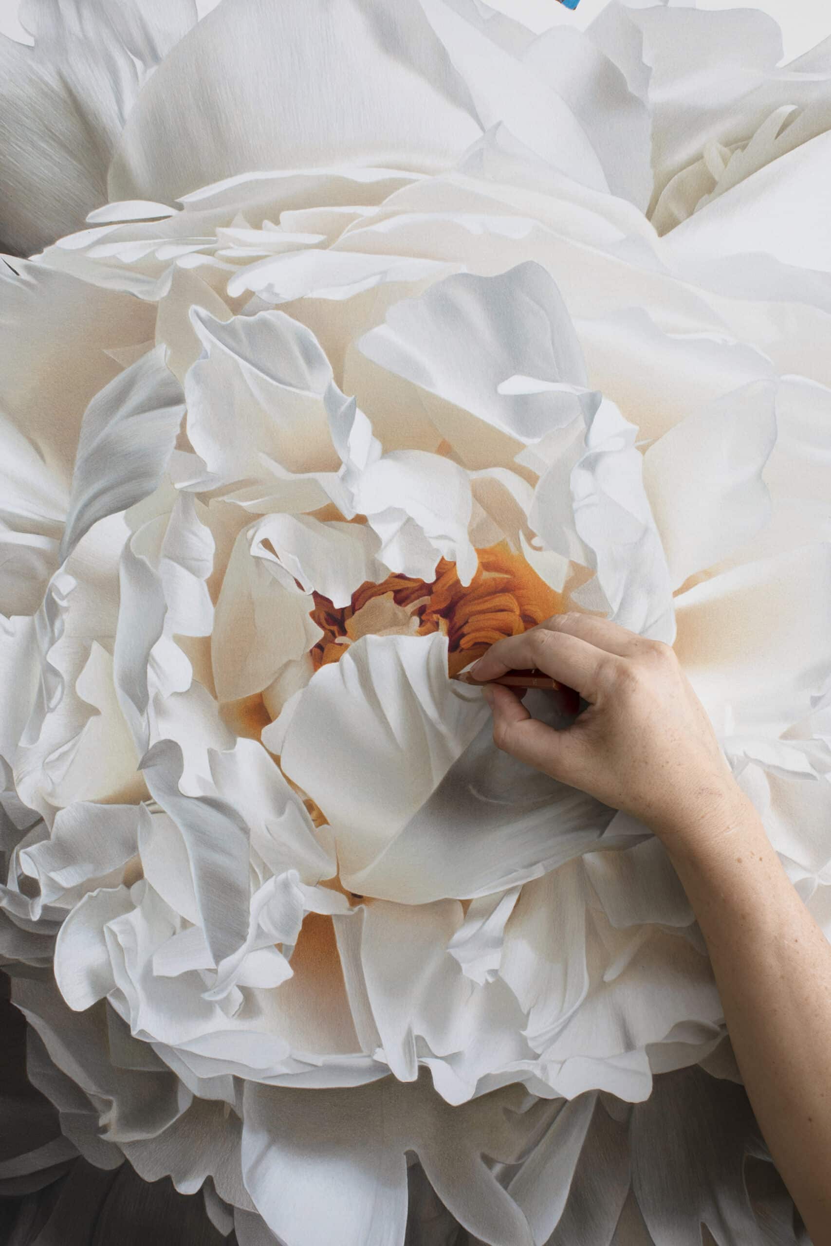 white peony detalle