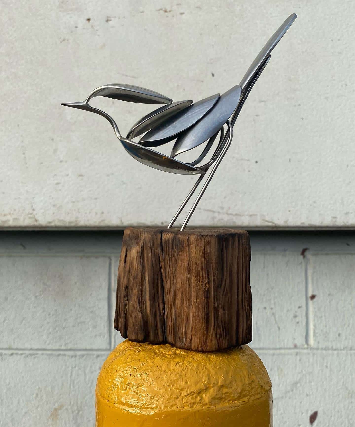 wilson wilso pajaro