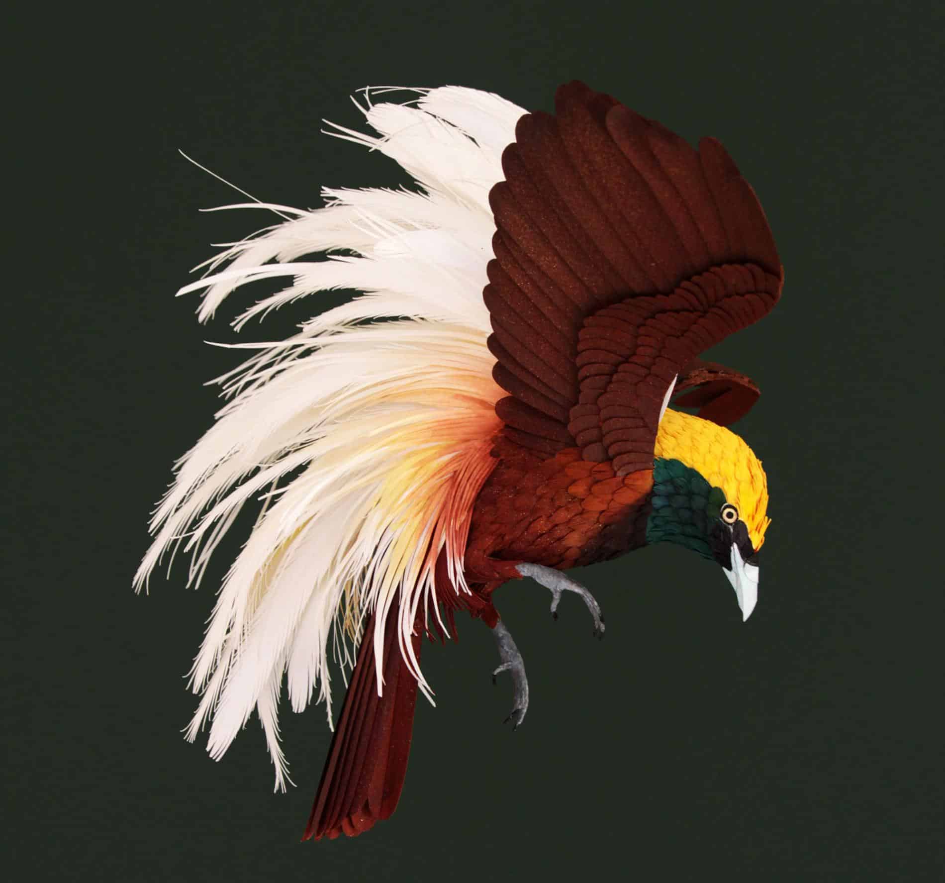 Diana beltran herrera escultura de papel pajaro