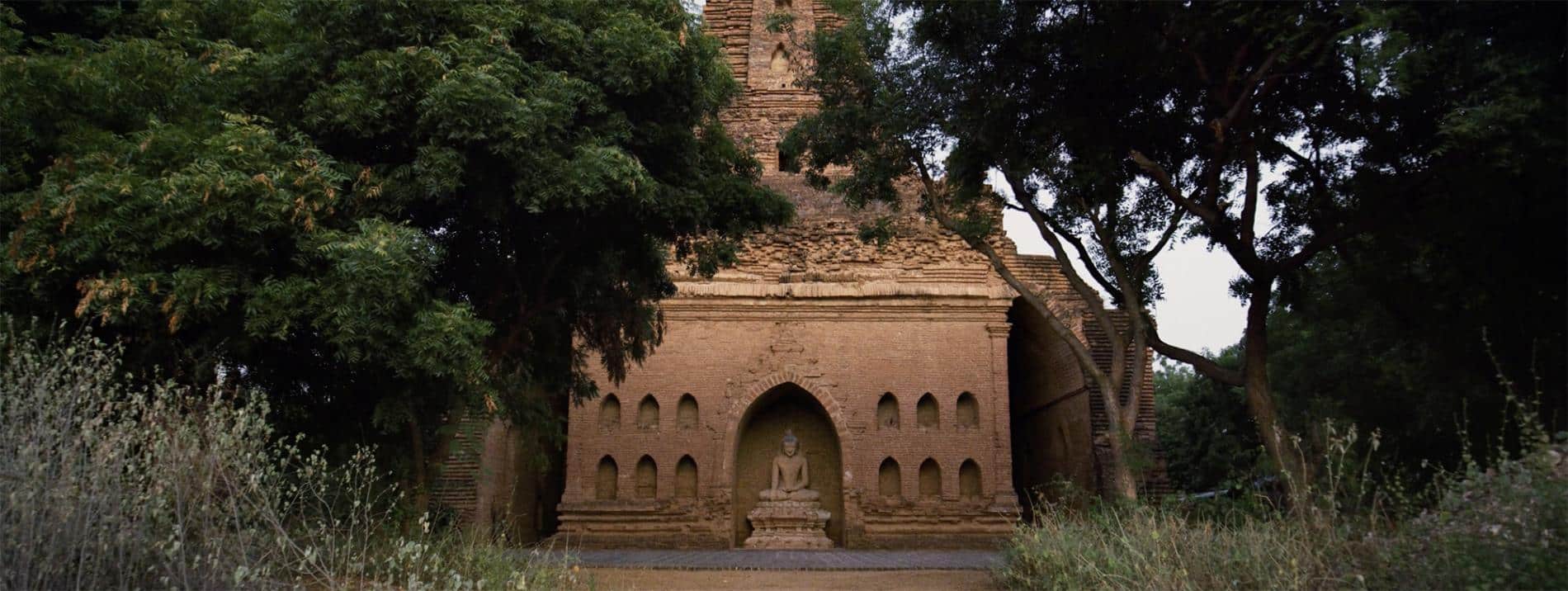 friedman guaardians of paradise pagoda