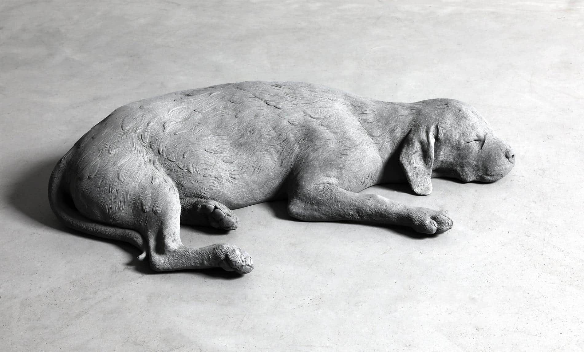 hans op de beeck perro