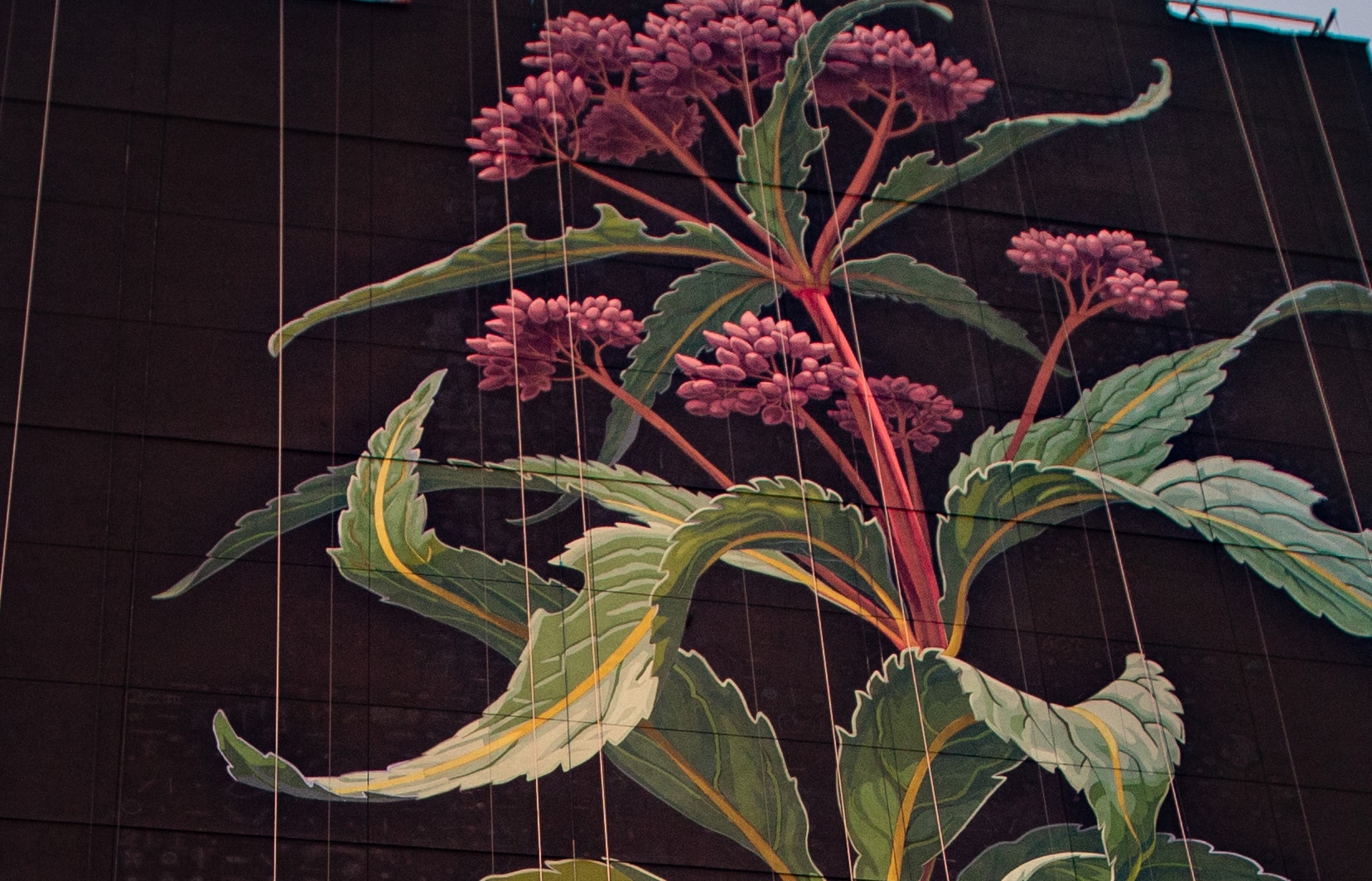 mona caron mural flor silvestre color