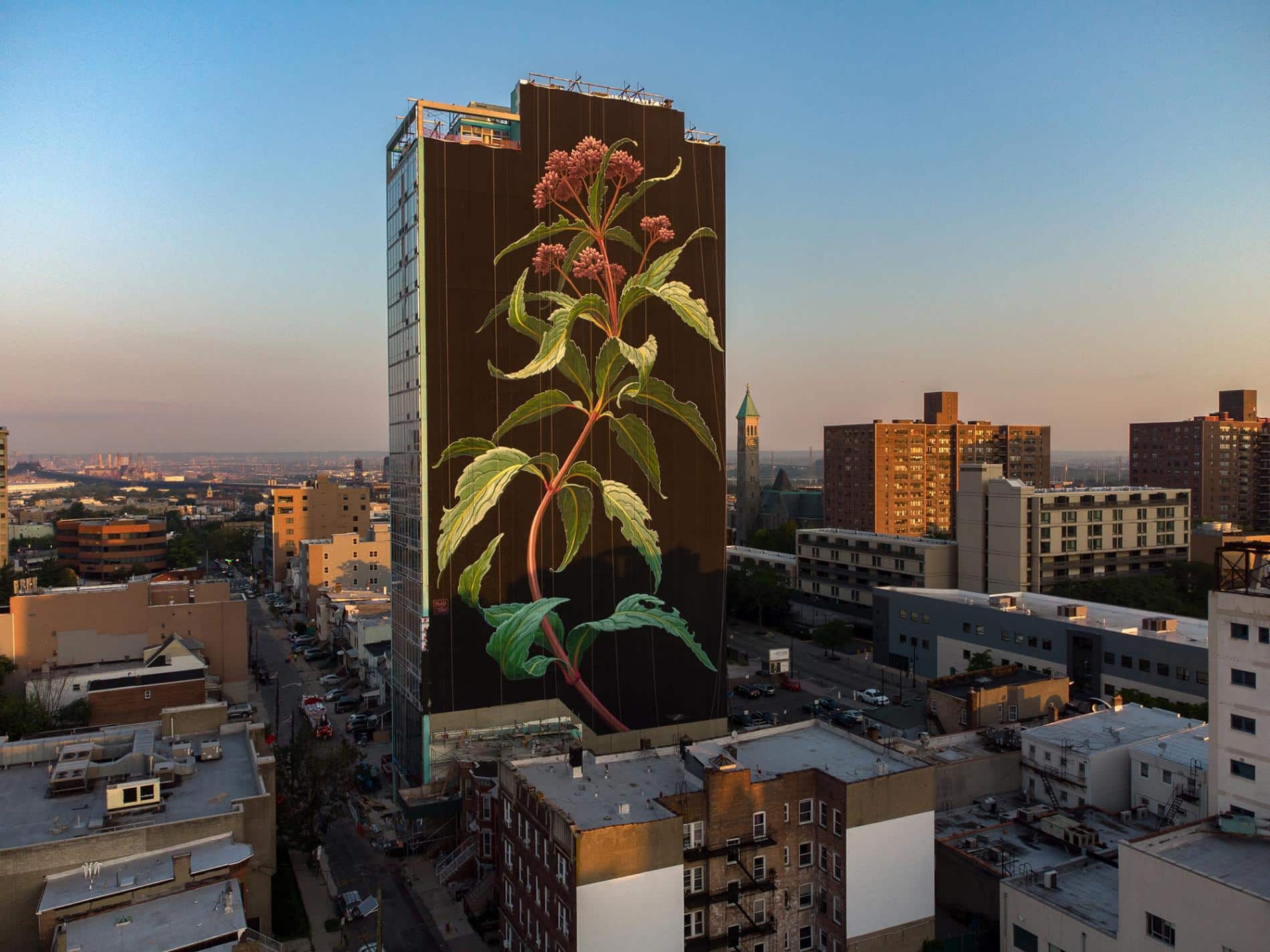 mona caron mural flor silvestre
