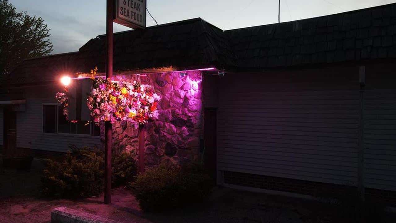 party store lisa waud instalacion botanica f