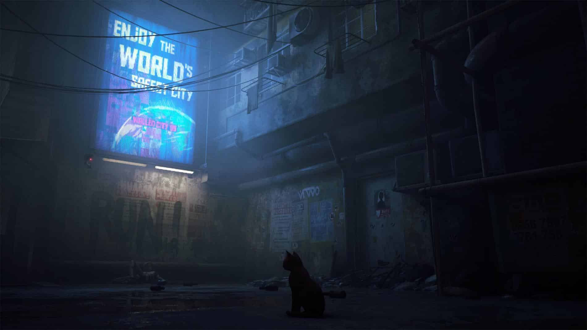 stray video bar gato