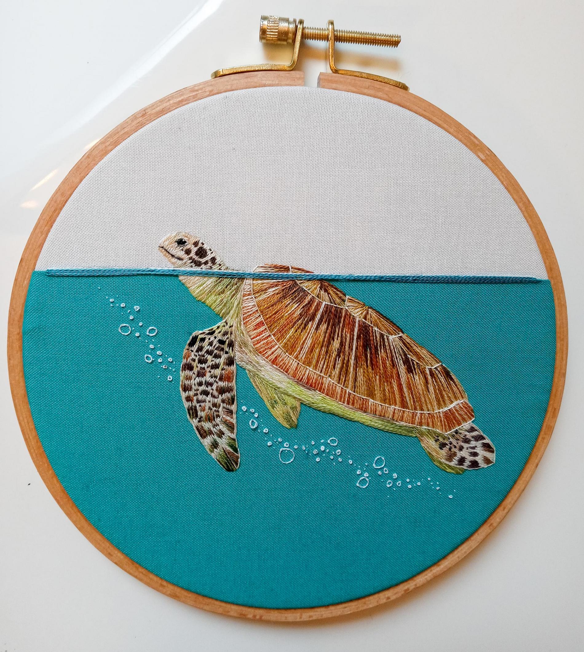 zaniewski tortuga