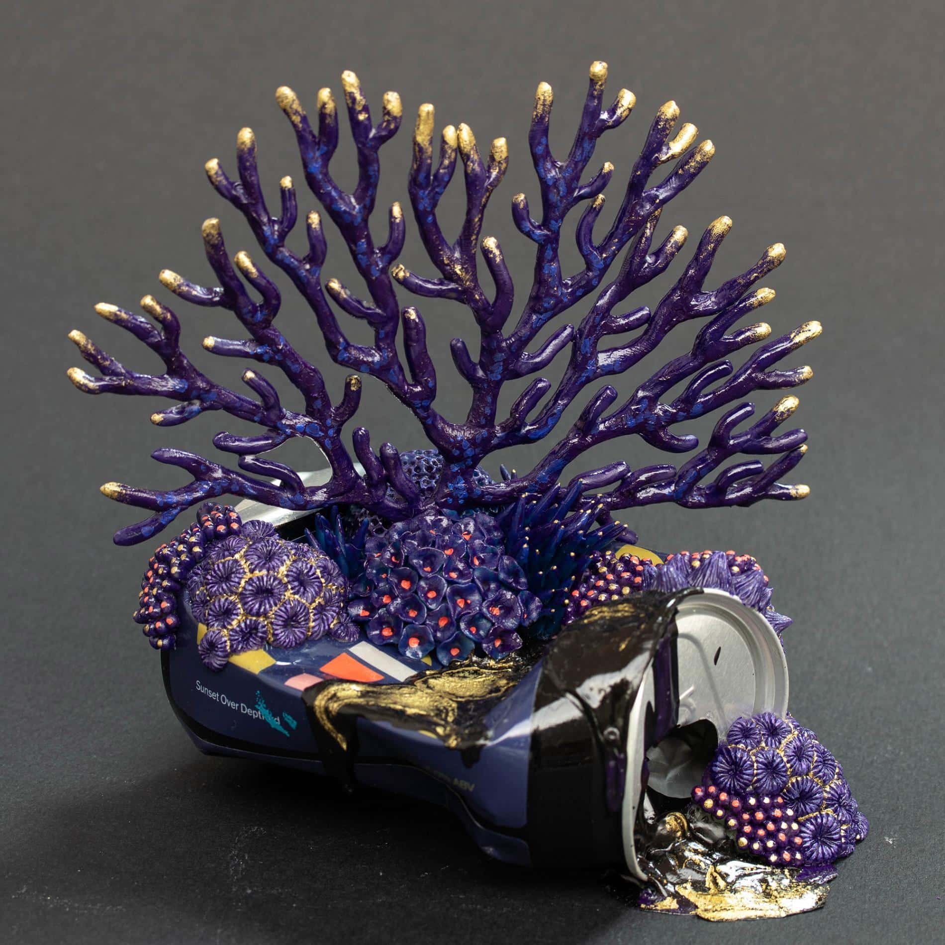 coral royal Stéphanie Kilgast