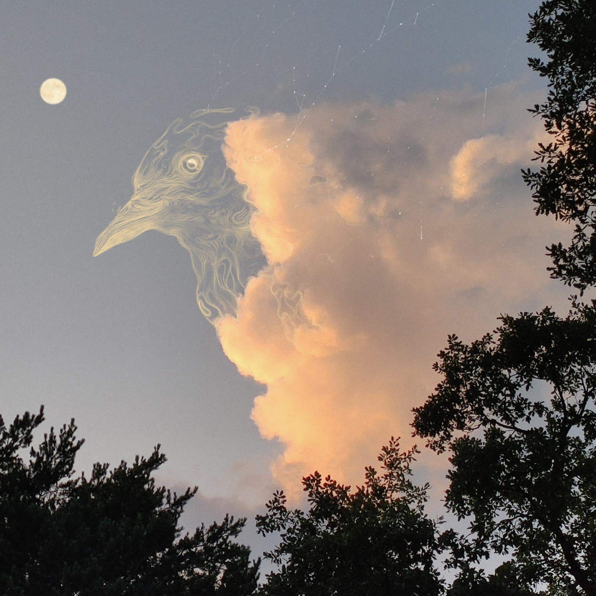 Dibujo de un pajaro sobre la fotografía de una nube hecho por vorja sanchez