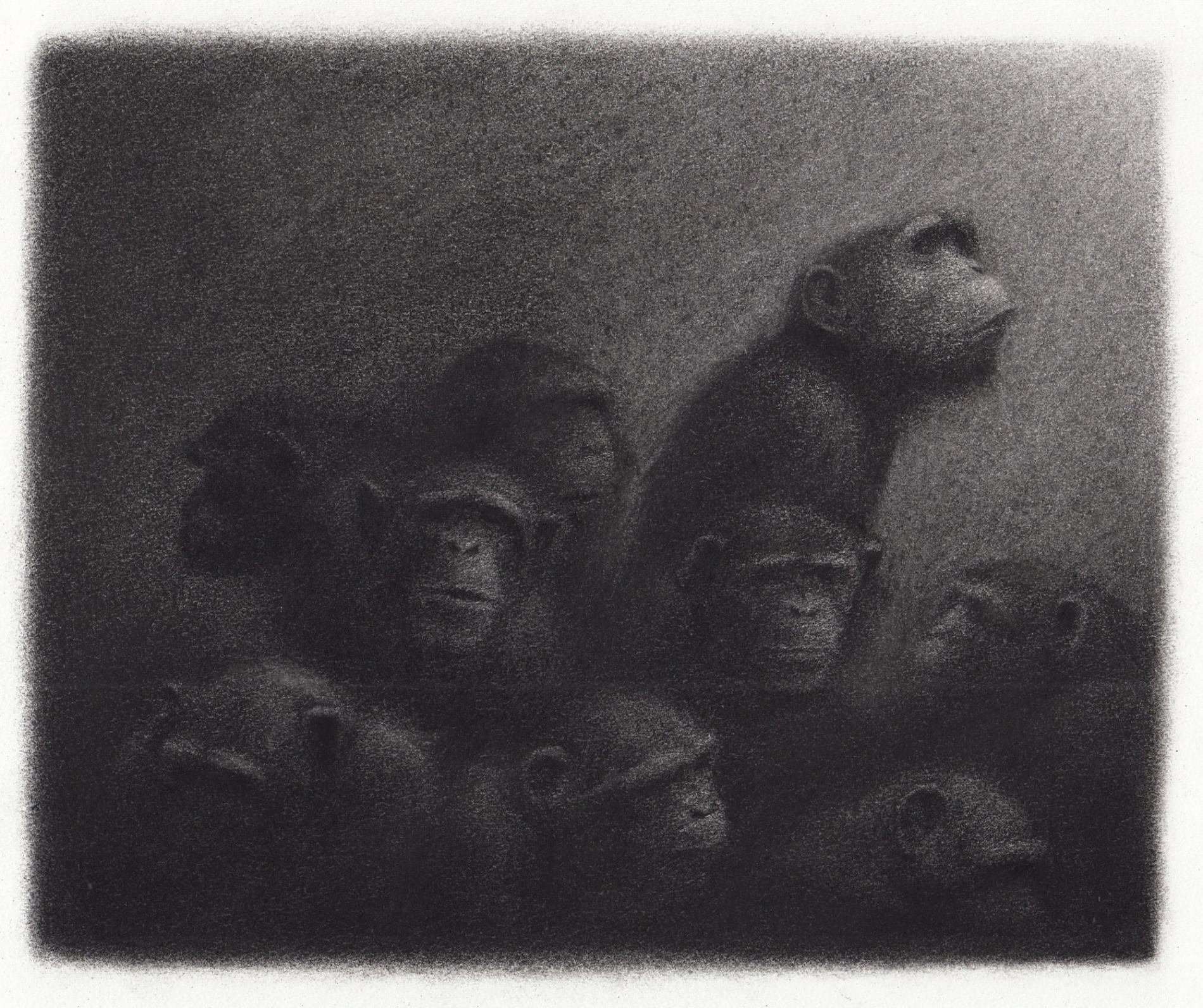 ilustracion en blanco y negro de simios