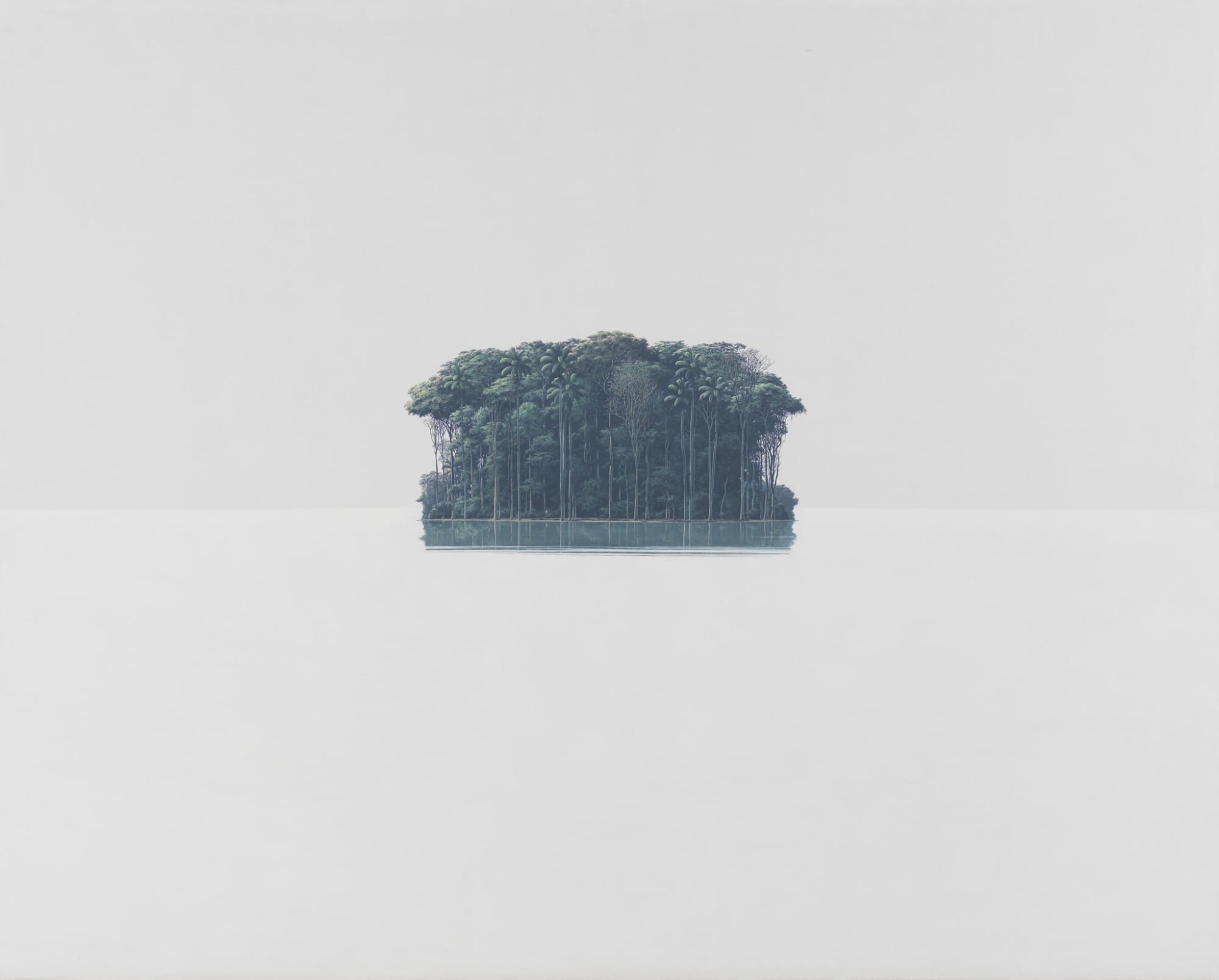 isla enmedio de la nada, paisaje creado por tomas sanchez el artista cubano que redescubre el arte del paisaje