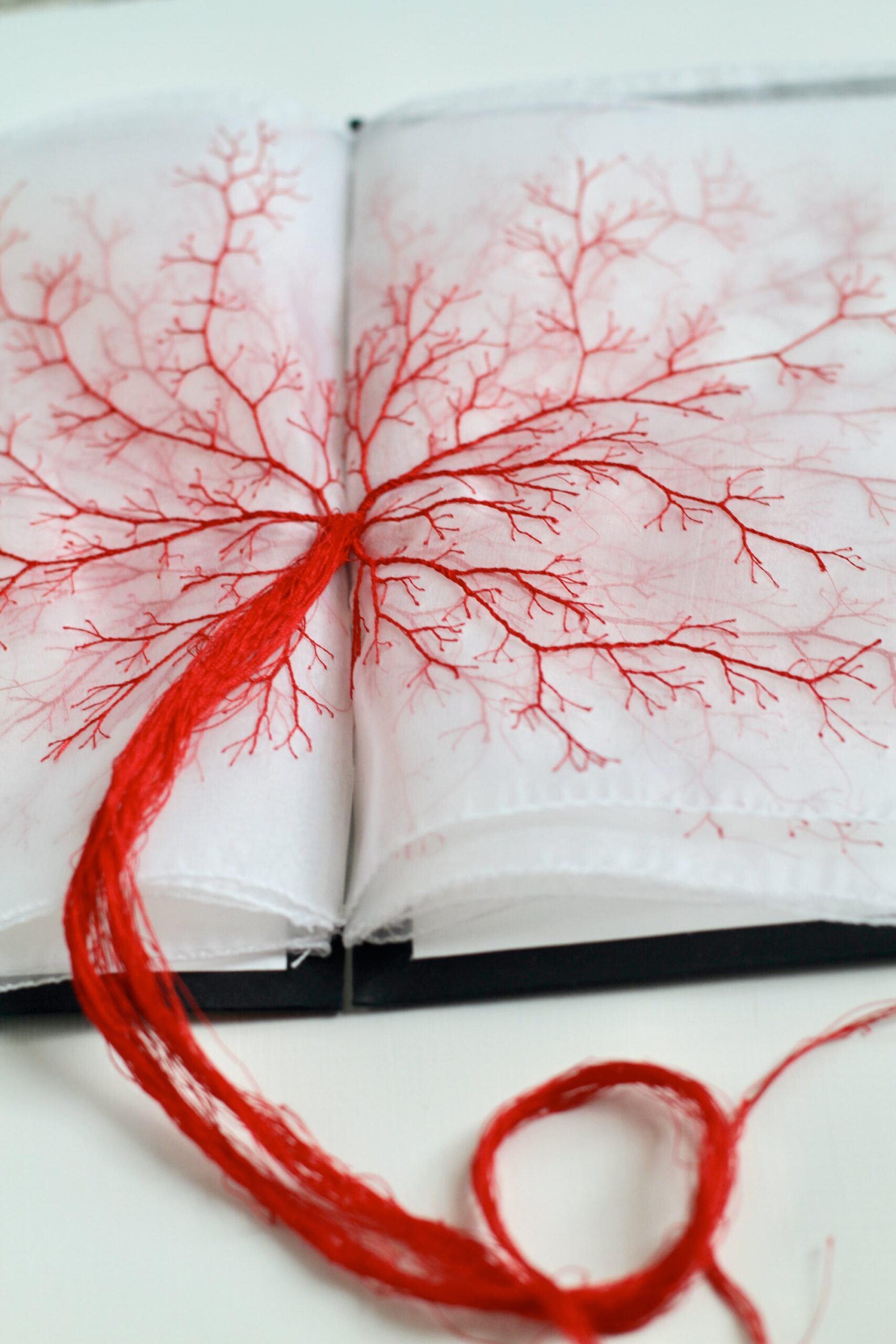 obra textil hilo rojo de rima day