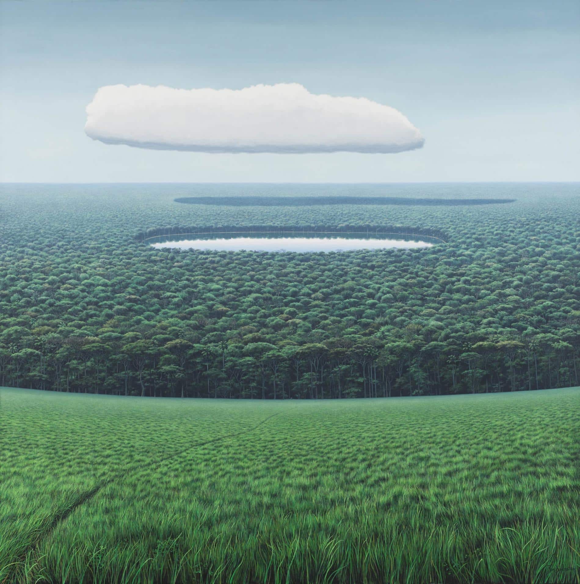 paisaje exuberante de naturaleza visto de arriba con un lago en el medio pintado por tomas sanchez reinvencion del paisaje