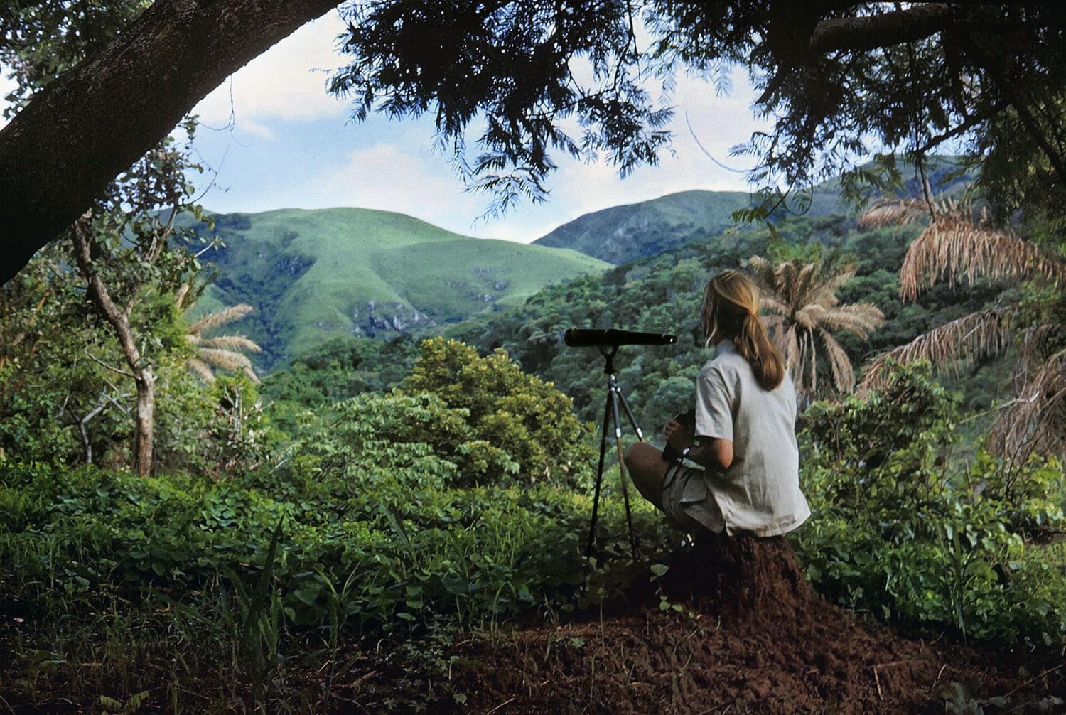 Jane_Goodall_autoretrato, fotografia de na