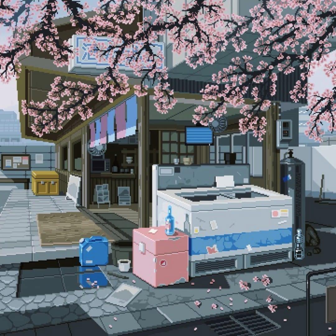 Waneella cherry blossom